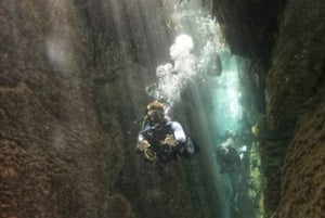 Cancun 2 Cenote Dives: The Pit + Nicte Ha - Certified Divers