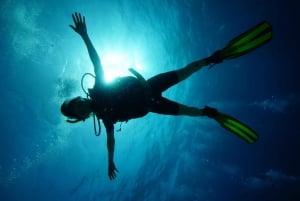 CANCUN: 2T REEF DIVES FOR CERTIFIED DIVERS