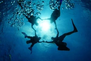 CANCUN: 2T REEF DIVES FOR CERTIFIED DIVERS