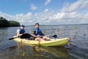 Cancun: 3-Hour Kayak Tour in Nichupte Lagoon