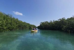 Cancun: 3-Hour Kayak Tour in Nichupte Lagoon