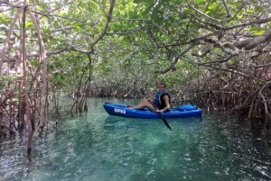 Cancún: Excursión de 3 horas en Kayak por la Laguna Nichupté