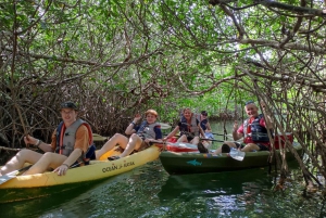 Cancún: Excursión de 3 horas en Kayak por la Laguna Nichupté