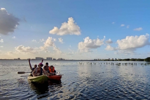 Cancun: 3-Hour Kayak Tour in Nichupte Lagoon