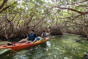 Cancun: 3-Hour Kayak Tour in Nichupte Lagoon