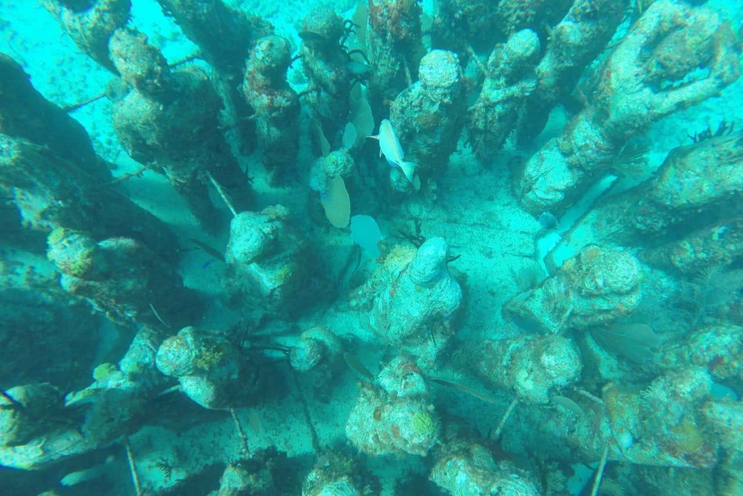 Cancun: 3-Hour Snorkel at Underwater Museum & Coral Reef