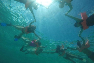 Cancun: 3-Hour Snorkel at Underwater Museum & Coral Reef