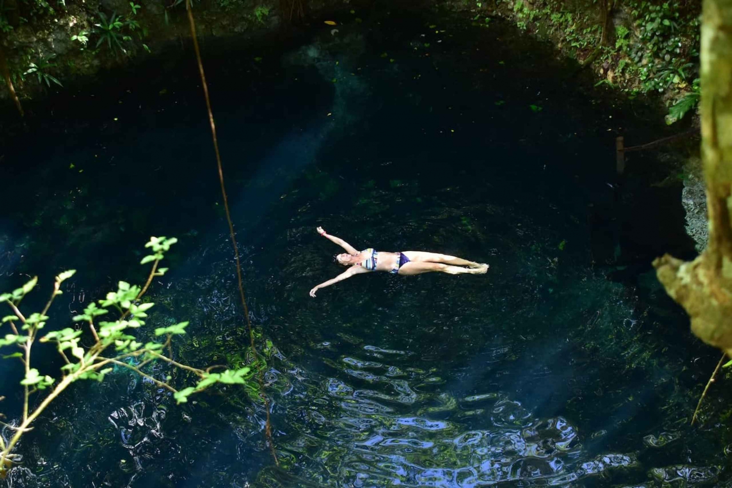 Cancun: 4 Cenotes Swim, Zipline & Snorkeling Adventure Tour