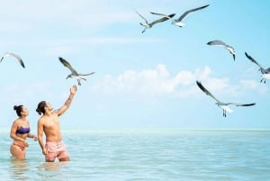 Cancún: Adventure in Holbox Island Tour