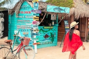 Cancún: Adventure in Holbox Island Tour