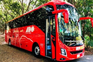Cancun Airport: Bus transfer from/to Cancun donwtown