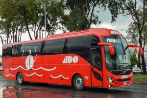Cancun Airport: Bus transfer from/to Cancun donwtown