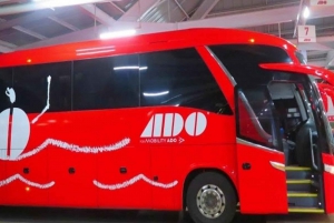 Cancun Airport: Bus transfer from/to Cancun donwtown