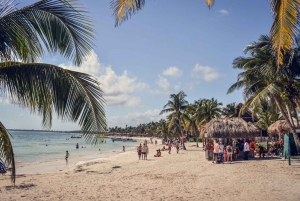 Cancun: Akumal Turtles and Cenote Snorkeling Tour