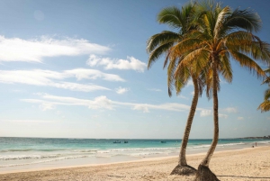 Cancun: Akumal Turtles and Cenote Snorkeling Tour