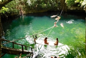 Cancún: ATV SHARE y Aventura en Tirolina con Baño en Cenote