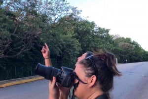 Cancún: Expedición fotográfica de aves con transporte