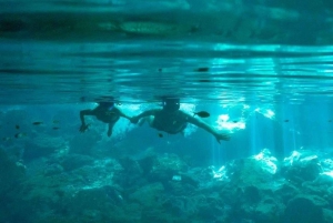 Cancún: Cenotes y Snorkel