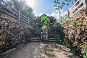 Cancún: Cenotes El Retoño con bicicletas, comida y traslado