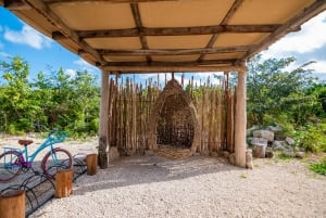 Cancún: Cenotes El Retoño con bicicletas, comida y traslado