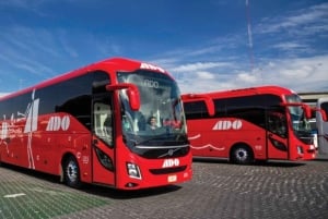 Cancún Central: Ticket de entrada en autobús a/desde Chichen Itzá