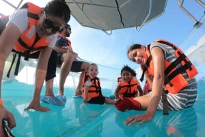 Cancún: Excursión en ClearBoat con cerveza y agua embotellada