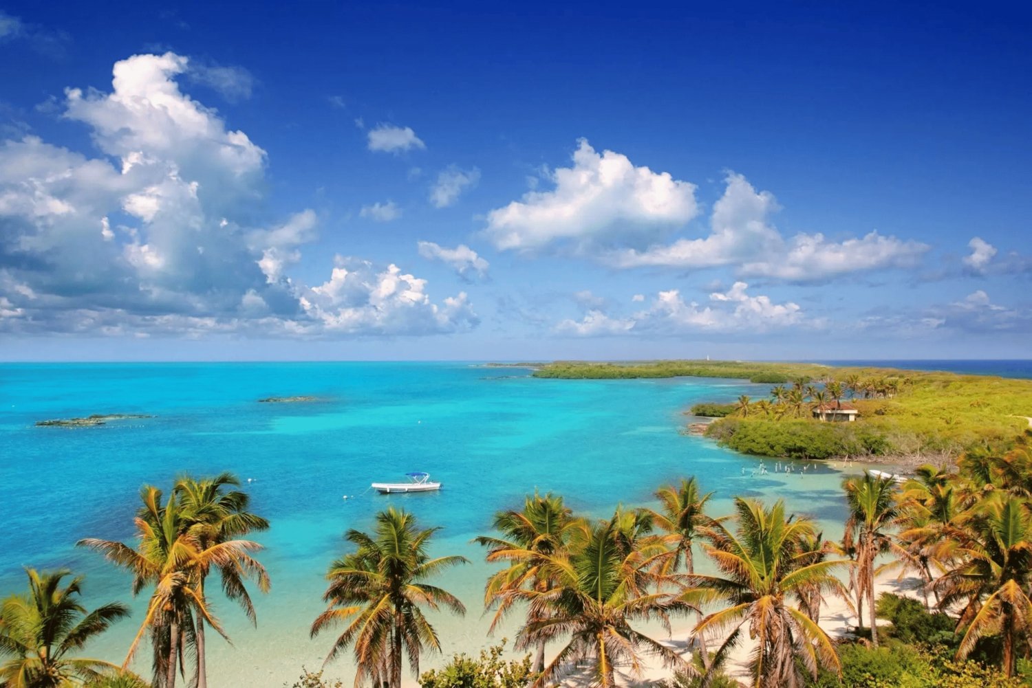 Cancún: viaje de snorkel en la isla Contoy y visita a Isla Mujeres