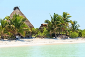 Cancún: viaje de snorkel en la isla Contoy y visita a Isla Mujeres