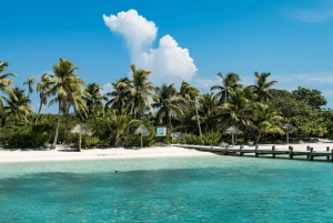 Cancún: viaje de snorkel en la isla Contoy y visita a Isla Mujeres