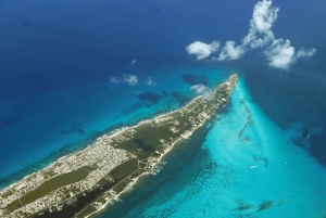 Cancún: viaje de snorkel en la isla Contoy y visita a Isla Mujeres