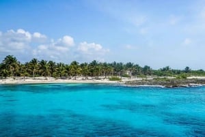 Cancun: Cozumel Diving for Beginners