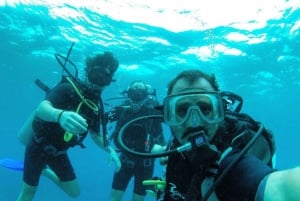 Cancun: Cozumel Diving for Beginners