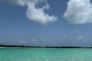 Cancún: Catamarán Isla Cozumel, El Cielo, Cielito Open Bar