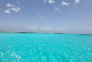 Cancún: Catamarán Isla Cozumel, El Cielo, Cielito Open Bar