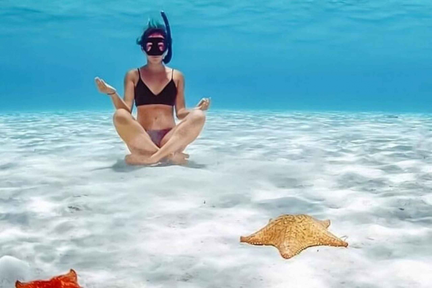 Cancún Experiencia de snorkel en Cozumel