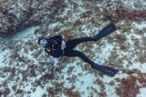 Cancun: Deep Reefs Exploration For Certified Divers