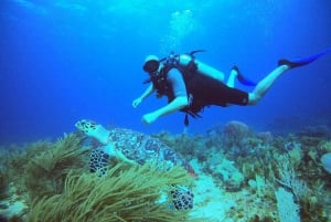 Cancún: Descubre el Buceo 2 Inmersiones en el Océano, Fotos Incluidas