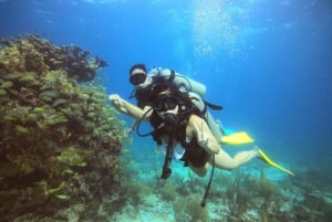 Cancún: Descubre el Buceo 2 Inmersiones en el Océano, Fotos Incluidas