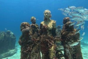 Cancún: Descubre el Buceo 2 Inmersiones en el Océano, Fotos Incluidas