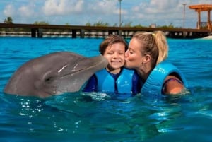 Cancún - Aventura Gato y Nado con Delfines