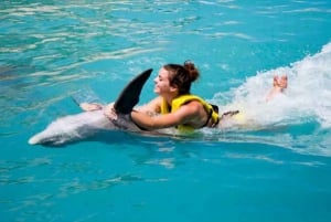 Cancún - Aventura Gato y Nado con Delfines