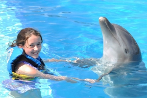 Cancún: Dolphin Encounter on Isla Mujeres with Buffet