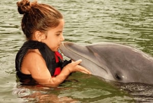 Cancún: Encuentro con delfines