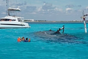 Cancún: Excursión Familiar de Snorkel. Nada entre peces tropicales