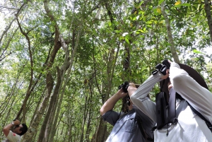 Cancún: Guided Birdwatching Hike