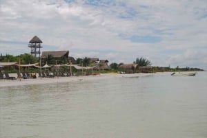 Cancún: Aventura de Observación de Aves y Vida Salvaje en la Isla Holbox