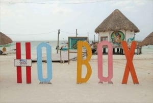 Cancún: Aventura de Observación de Aves y Vida Salvaje en la Isla Holbox