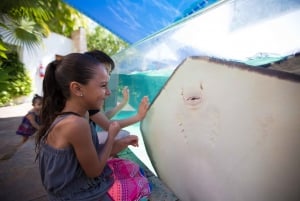 Entrada al Acuario Interactivo de Cancún + Presentación de Delfines