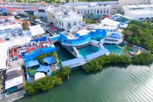 Entrada al Acuario Interactivo de Cancún + Presentación de Delfines