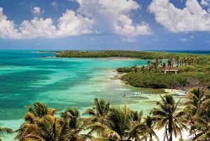 Cancun: Isla Contoy and Isla Mujeres Combo Tour